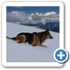 Dachstein