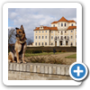 Liblice